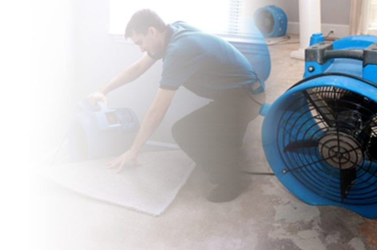 A Person Working with Air Dehumidifier in Cape Cod