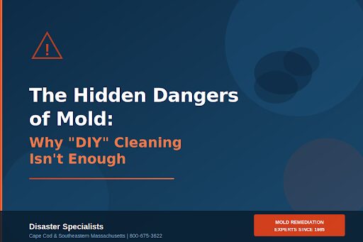 The Hidden dangers of Mold
