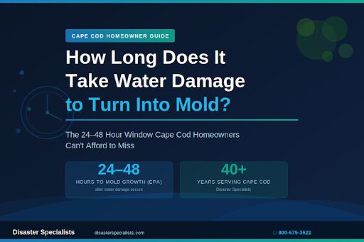 Water Damage Turning to Mold