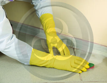 Biohazard Cleanup